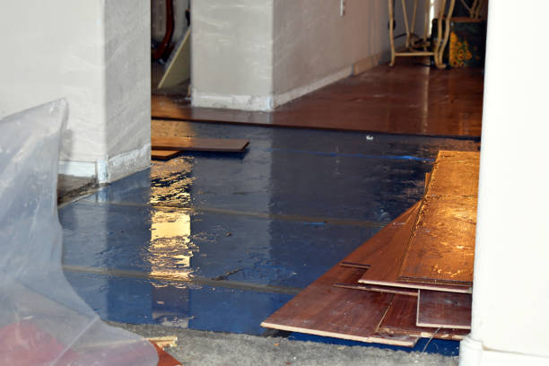 Professional Burst Pipe Cleanup technician working in Coldwater, MS